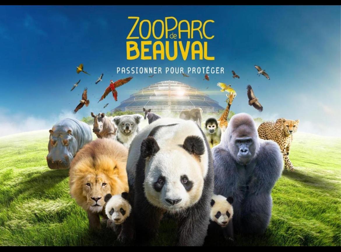 Gite Souai Et Zen , 5 Mn Du Zooparc De Beauval Saint-Aignan  Exterior foto